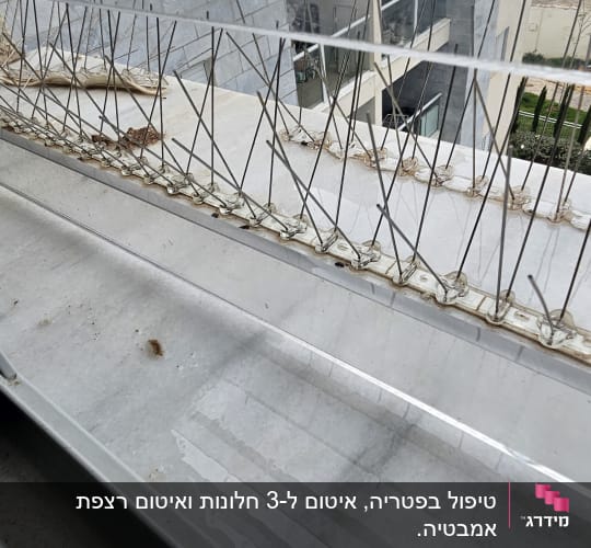 דוקרנים למניעת ציפורים על אדן חלון